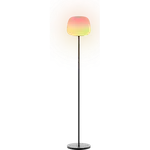 Govee Lantern Floor Lamp