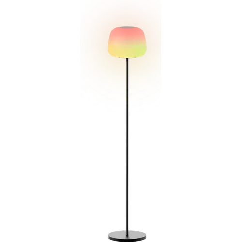 Govee Lantern Floor Lamp