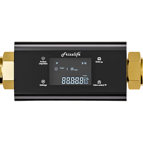 Frizzlife LP365-P